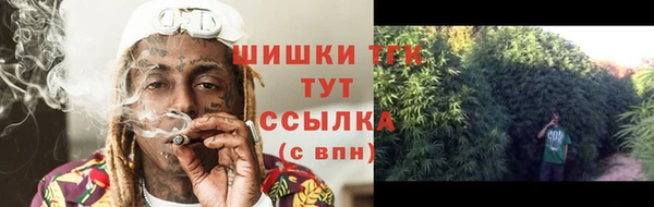 бошки Пересвет
