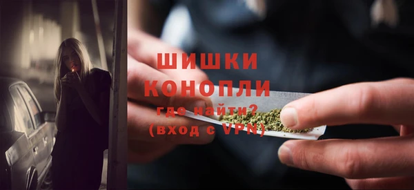 молекула духа Переславль-Залесский