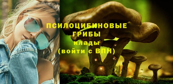 бошки Пересвет