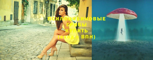 Альфа ПВП Осинники