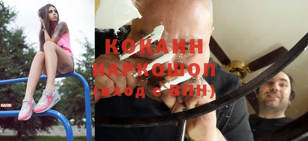 бошки Пересвет