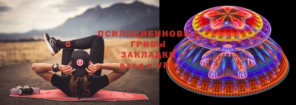 бошки Пересвет